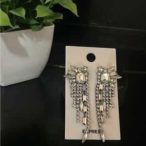 Express Earrings